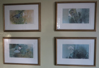 Mort Solberg Bird Art Set of 4 Water Fowl Framed Prints