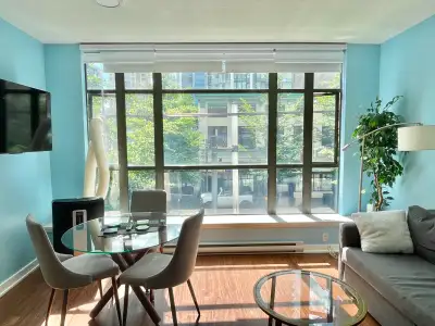 1-bedroom 1-bathroom furnished apartment at downtown Vancouver for rent from mid-Oct to March 2027(f...