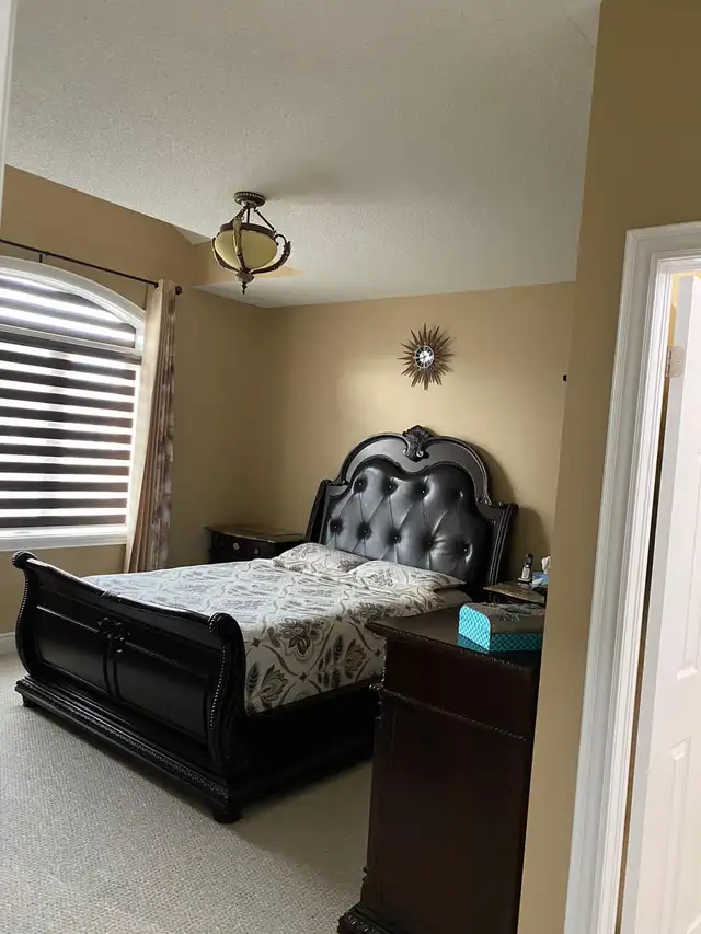 professional painters63760493479683122