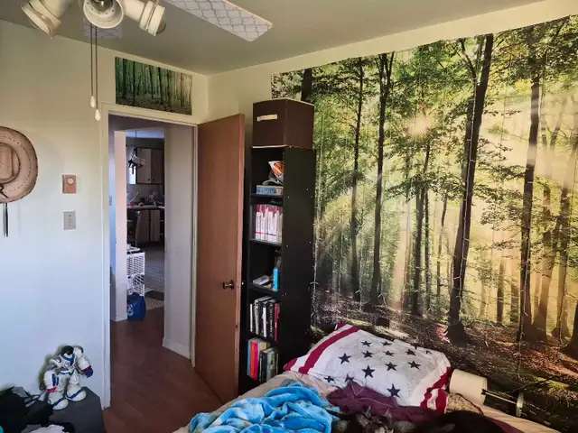 4 Et demi belle grandeur et bien situé  in Long Term Rentals in Lévis - Image 6
