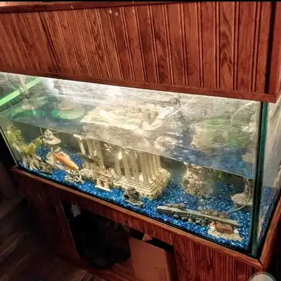 55 gallon Aquarium with stand. No leaks. Asking $200, no lower. Need it out asap Pick up in Tillsonb...