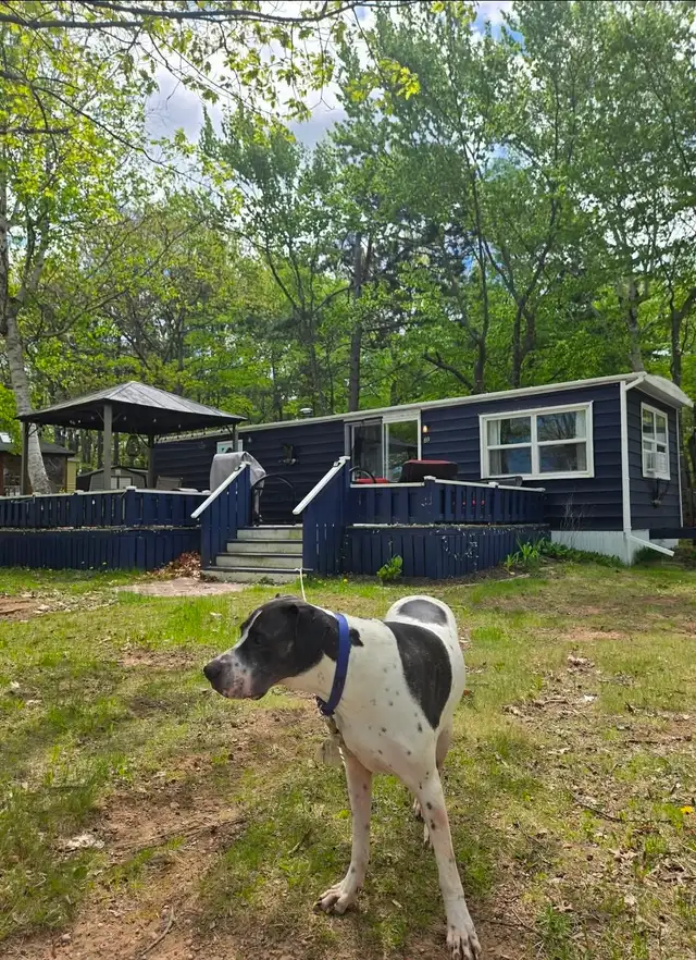 Cottage for sale
