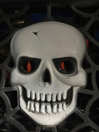 Halloween Skull Fence