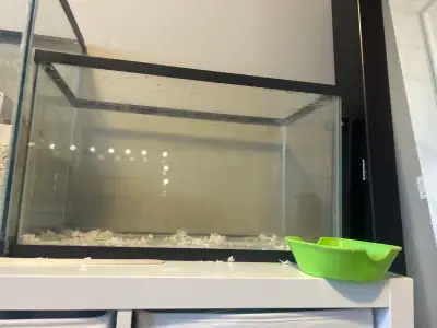10 Gallon fish Tank , View more