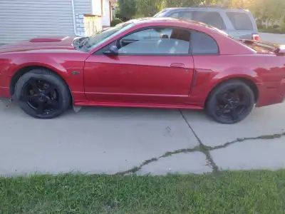 Mustang GT Auto 4.6 ltr 245000kms Runs and drives great Aftermarket exhaust Aftermarket rims New tir...