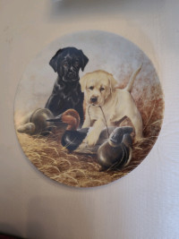 A Perfect Set Labrador Retrievers L Kaatz Collector Plate 1988 