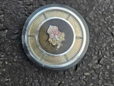 Packard Horn Buttons, View more