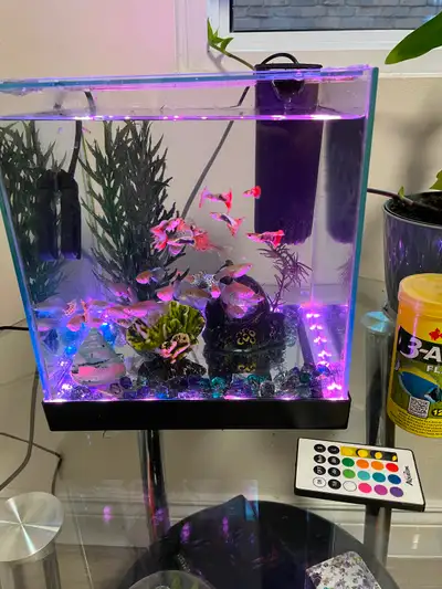 Aquarium with fish, View more
