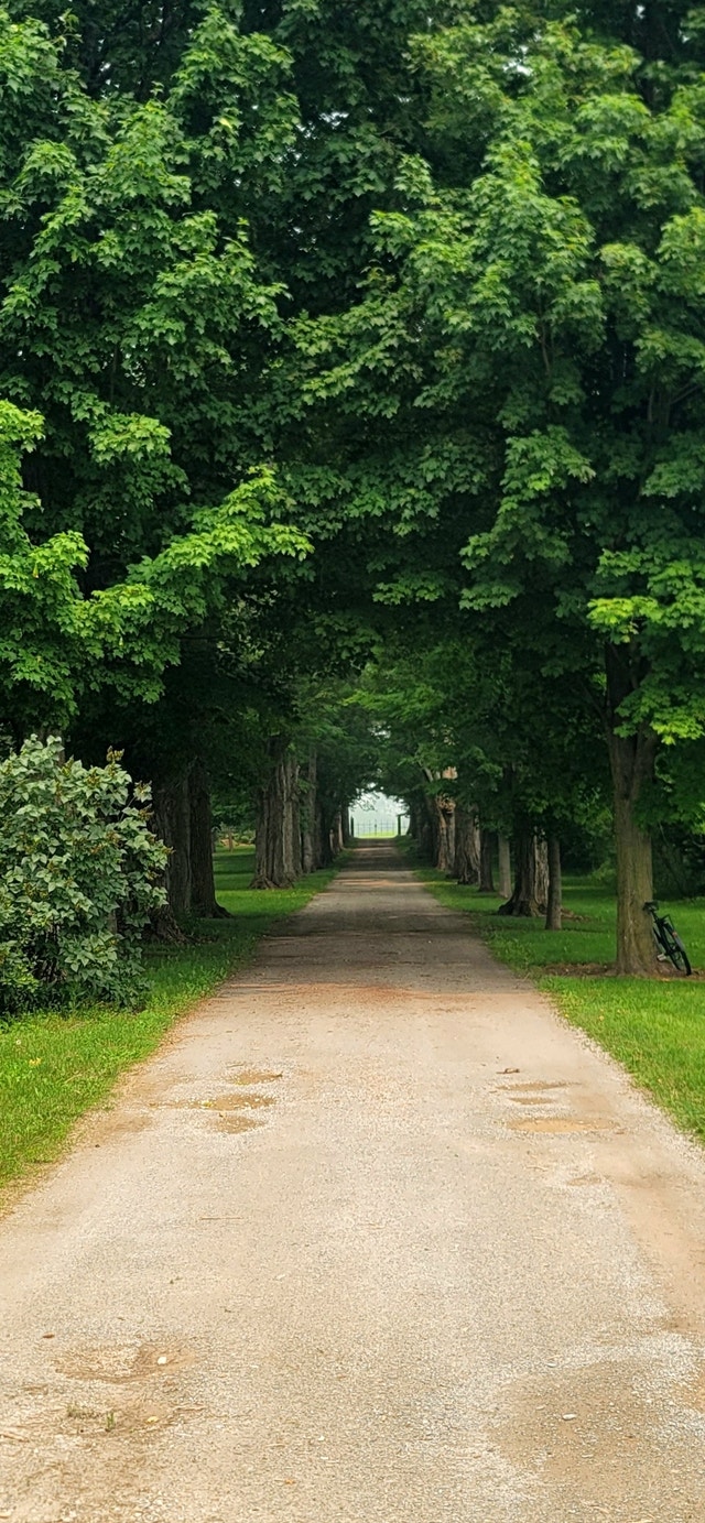 Country house for rent 1/2hr to Toronto with grounds keeper Long Term Rentals Oakville