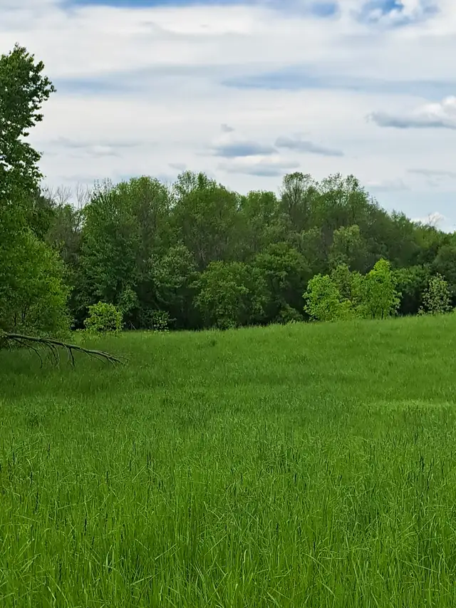 34.86 ACRES  GREEN SPRAWLING LAND WITH FLOWING RIVER HYDRO63417674035201122