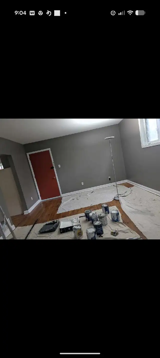 PROFESSIONAL OTTAWA PAINTER! 613-262-3721577405994235351049