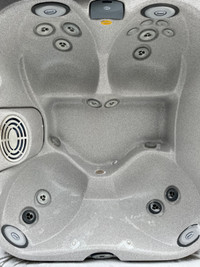 2010 Jacuzzi J325 4-5 Adult Hot Tub in Good Condition