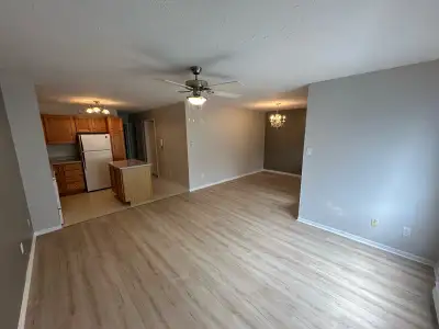 Two Bedroom Apartment Walking Distance to Downtown