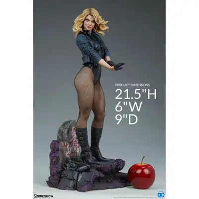 Sideshow Black Canary Statue, View more