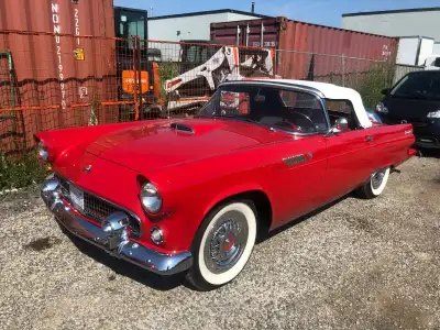 VERY CLEAN CAR ITS A MUST SEE AND HAVE IF YOU LIKE T'BIRDS ....PLEASE LEAVE YOUR NUMBER IF YOU NEED...