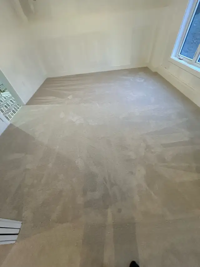 Expert Carpet Installation 64840206016001128