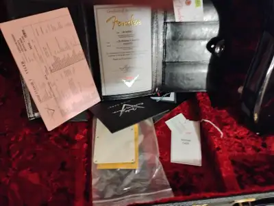 Poblano 2. Limited edition amazing pickups. The metal control cover can be removed to make it look l...
