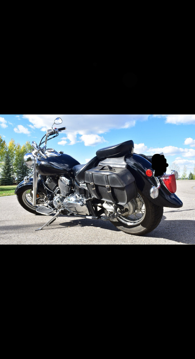 Yamaha V-Star 650 2007  dans Utilitaires et de promenade  à Calgary - Image 4