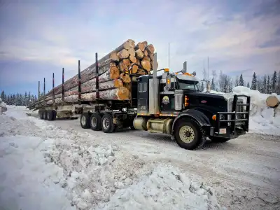 Looking for class 1 driver's for log haul slave lake Alberta , View more