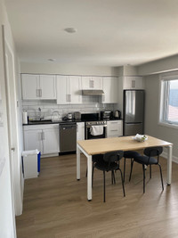 1 room sublet - Sandy Hill area