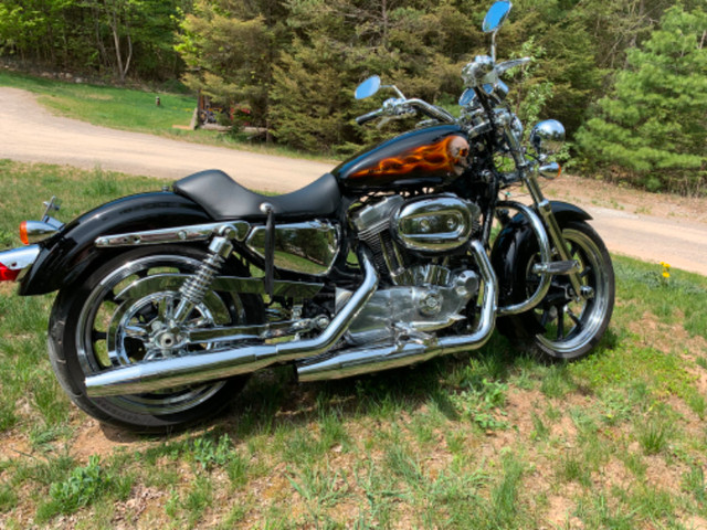 Harley-Davidson Sportster 883 XL Superlow in Street, Cruisers & Choppers in City of Toronto