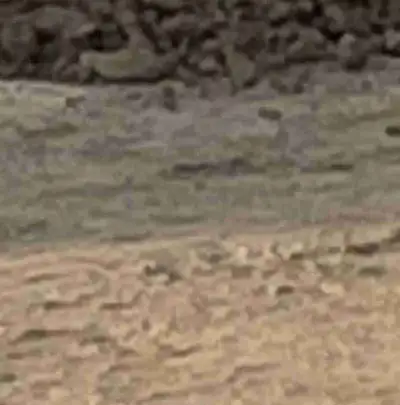 Fill and Top Soil, View more