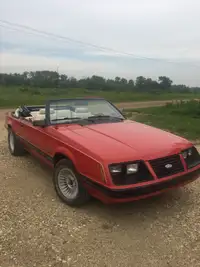 For Sale:  1983 Mustang Conv. - 57,900  kms.