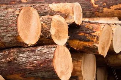 Did you cut a tree down and not sure what to do with the logs? Free log drop off site available. Har...