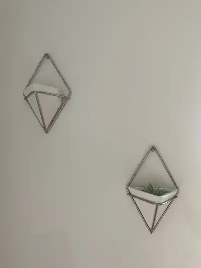air plant holder, View more