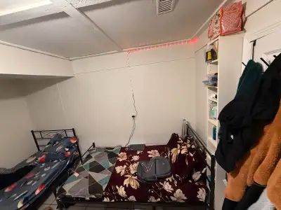 room for rent