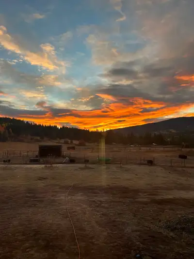 Farm Helper Wanted – Summer Spot for Your RV Hey! We’re looking for someone to lend a hand around th...
