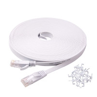 Cat 6 Ethernet Cable 100 ft