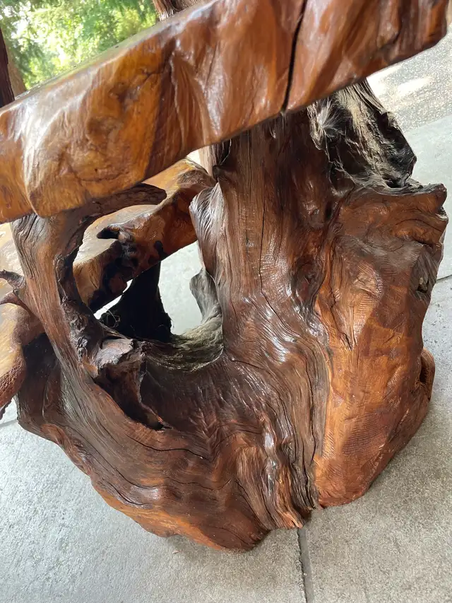 Unique Teak Root Display Stand in Outdoor Décor in Kamloops - Image 10