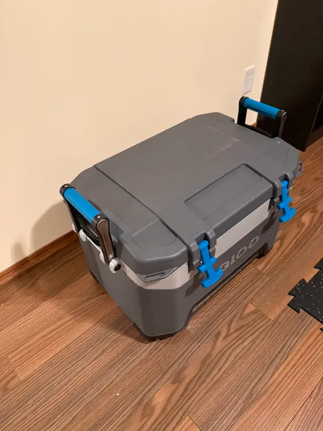 Igloo cooler471852864640788482