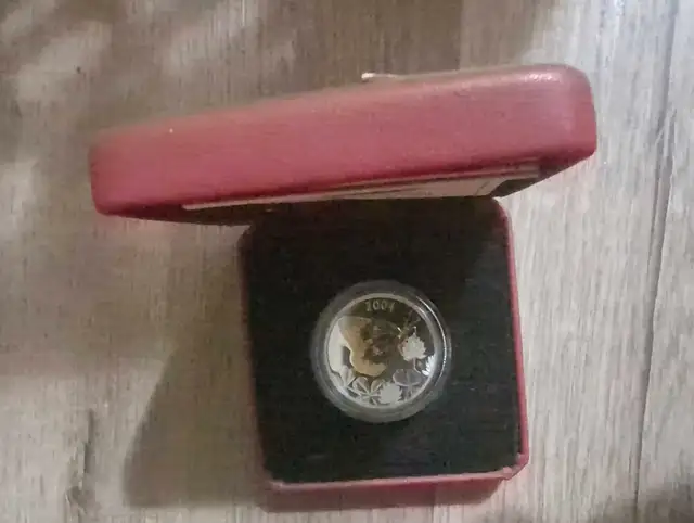 2004 Silver Panda Coin in Arts & Collectibles in Red Deer - Image 2