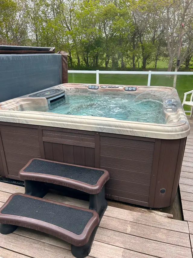Artesian Spa Hot tub in Hot Tubs & Pools in Regina - Image 6