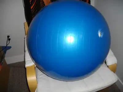 Looking for a yoga ball is great for stretching before cardio, View more