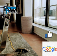 PROFESSIONAL CARPET & UPHOLSTERY CLEANING