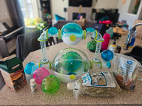 Full Hamster Set Up-Everything you need!!