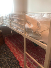 Twin Loft Bed w/Slide