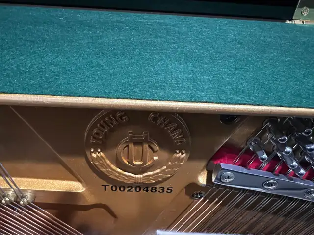 48” Professional Upright Piano – Young Chang – Original Owner in Pianos & Keyboards in City of Toronto - Image 4