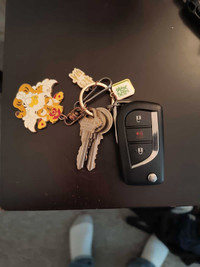 Found keys