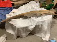 EXTRA LARGE PIECE OF DRIFTWOOD
