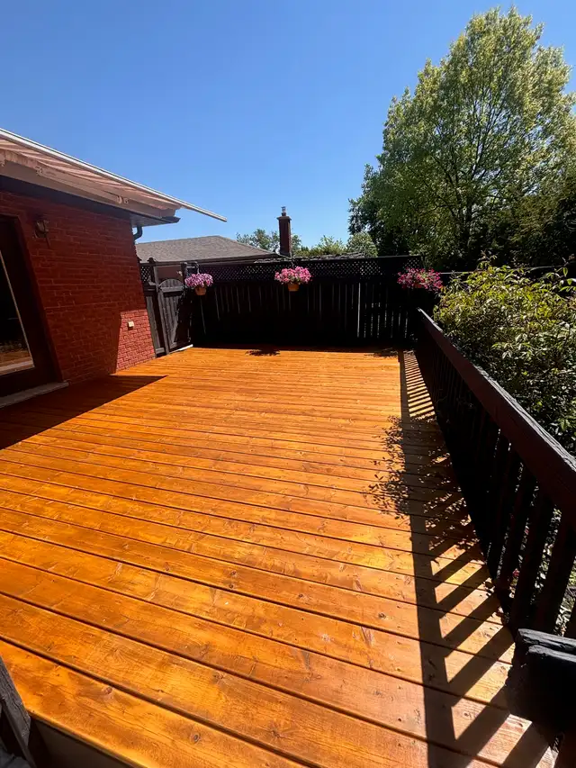 Professional Painting Services – Openings Available542521877647872006