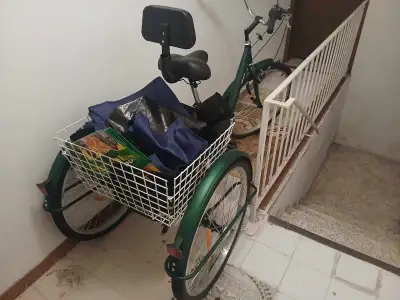 Trike for sale,7 speed foldable in the front