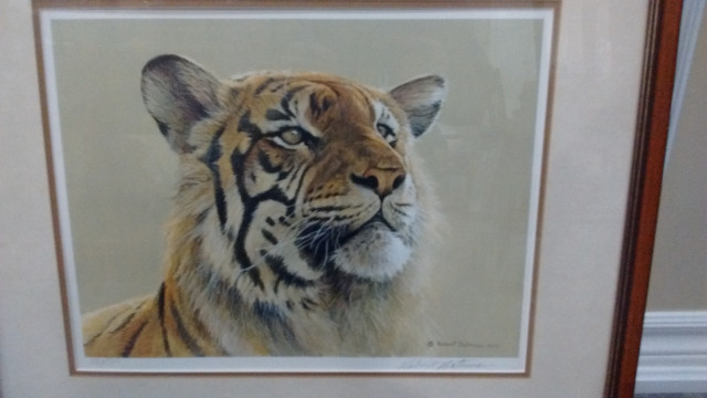 Framed Robert Bateman Limited Edition "Tiger Portrait" Print in Arts & Collectibles in Oshawa / Durham Region - Image 2
