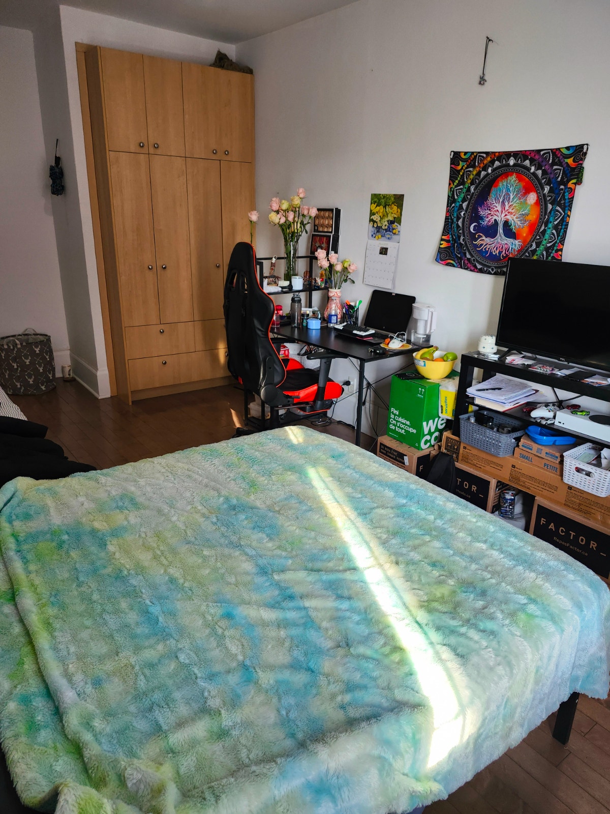 Private room for rent NDG Near Metro Villa Maria — photo 2