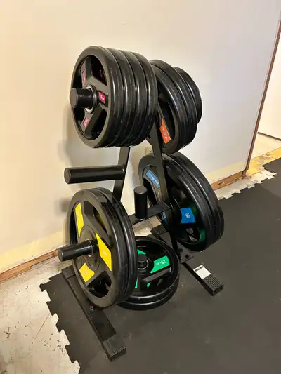 Gym Equipment , View more