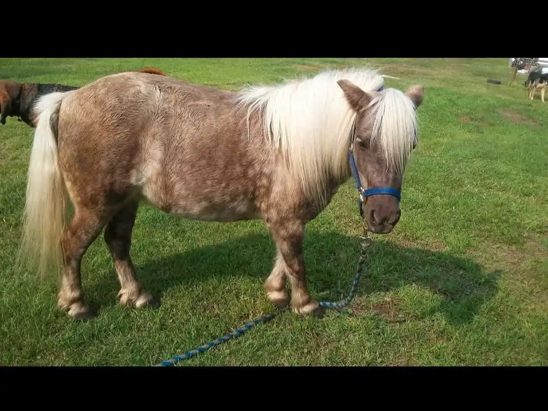 pictures of the unit