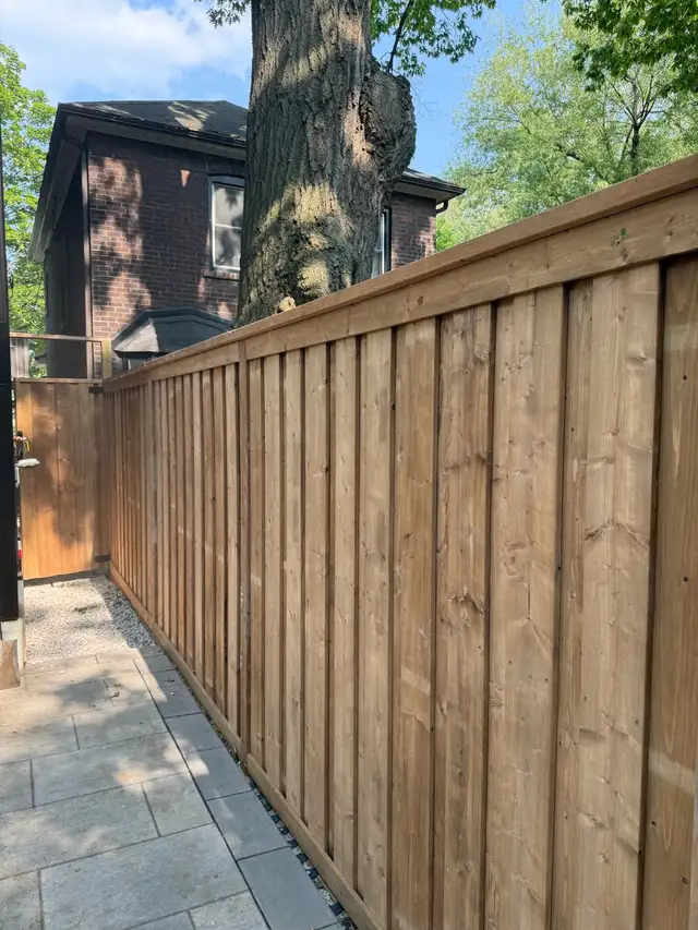 Wooden fences62864740316673124